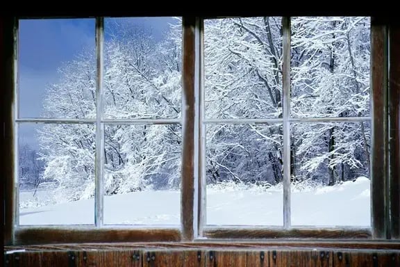 Storing Trailer Winter